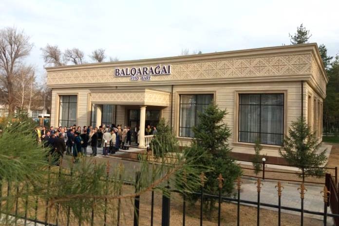 Фитобар «Балқарагай» открылся в Сосновом бору в Таразе