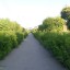 Природа, парки отдыха