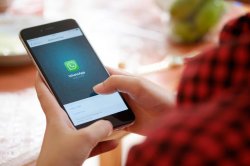 Жамбылцы могут пожаловаться через WhatsApp в антикоррупционную службу