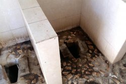 За грязный туалет жительница Тараза требует 100 тысяч тенге с шымкентского зоопарка