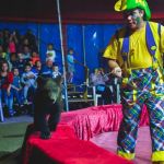 Цирк-шапито "Eldorado" в Таразе 2