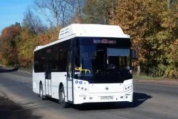Новые автобусы КАВЗ запустят в Таразе