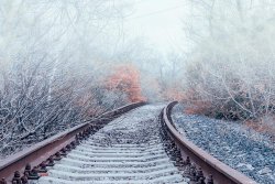 Двоих рабочих насмерть сбил поезд в Жамбылской области