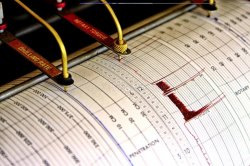 Жители Тараза и Шымкента ощутили землетрясение