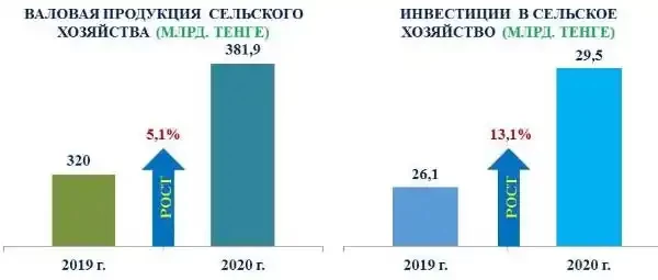 Валовая продукция сельского хозяйства Жамбылской области в 2019 и 2020 годах