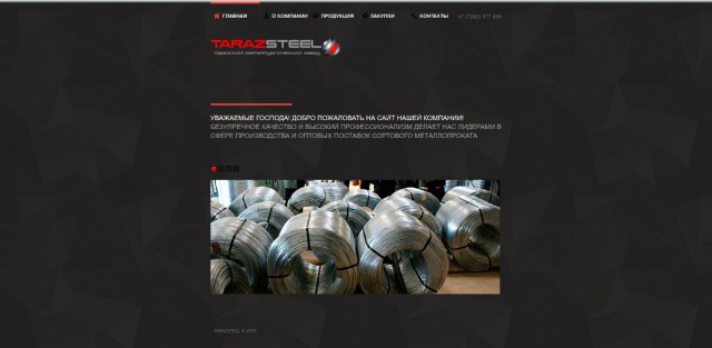 Фирма "TARAZ Steel"