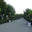 Природа, парки отдыха