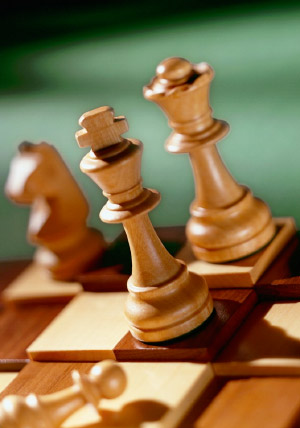Чемпионат области по шахматам