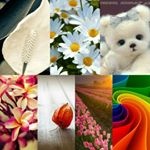 shymyr01 shymyr01