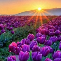 Дина Нуржанова Дина Нуржанова