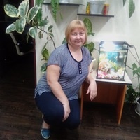 Елена Кольмай Елена Кольмай