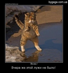 В и к т о р и я В и к т о р и я