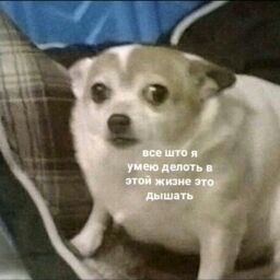 глеб :D глеб :D