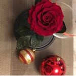 РОЗЫ В РОЗЫ В