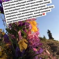 Шолпан Мамышева Шолпан Мамышева