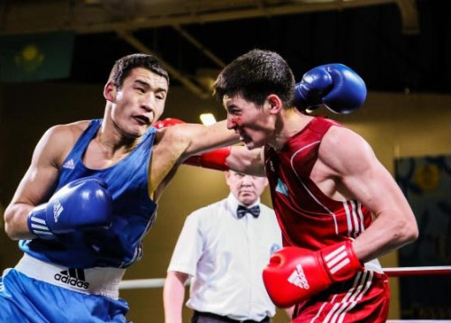 Чемпионат Казахстана по боксу в Таразе
