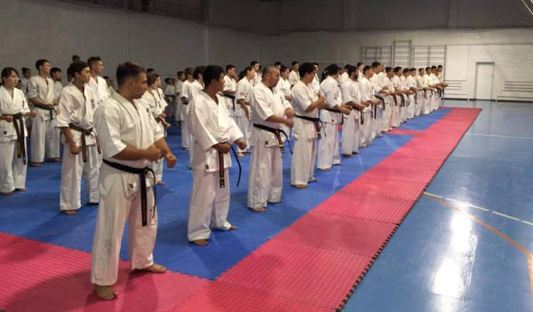 Участники мастер класса по киокушинкай-кан каратэ под руководством  японского шихана Масафуми Тагахара