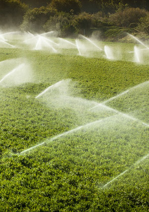 Taraz Invest-2016 Agrochemical Day Taraz Invest-2016 Agrochemical Day