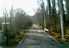Парк Рыскулбекова